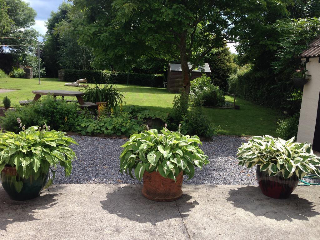 Twin Oaks Bed & Breakfast Kilkenny Exterior photo
